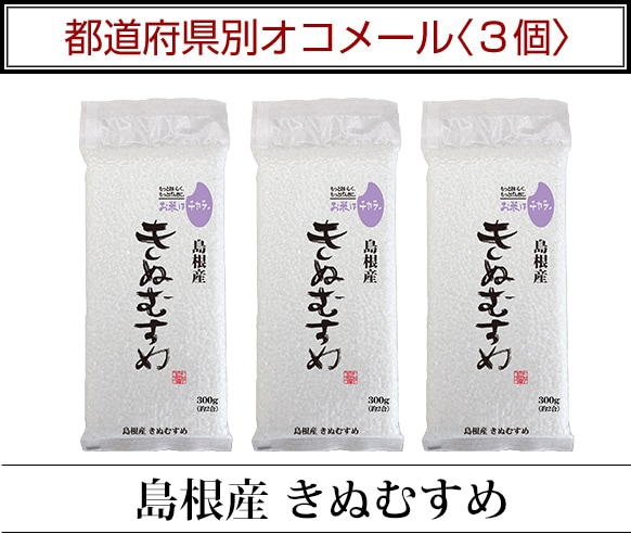 ��ƻ�ܸ��̥����᡼��3��