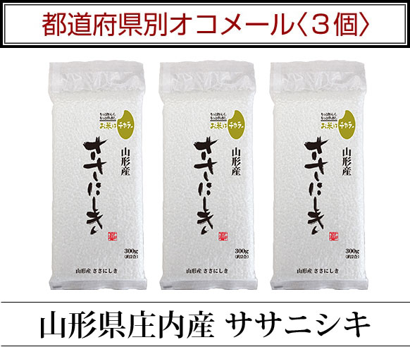 ��ƻ�ܸ��̥����᡼��3��