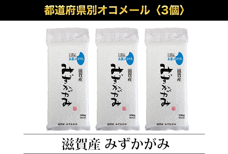 ��ƻ�ܸ��̥����᡼��3��