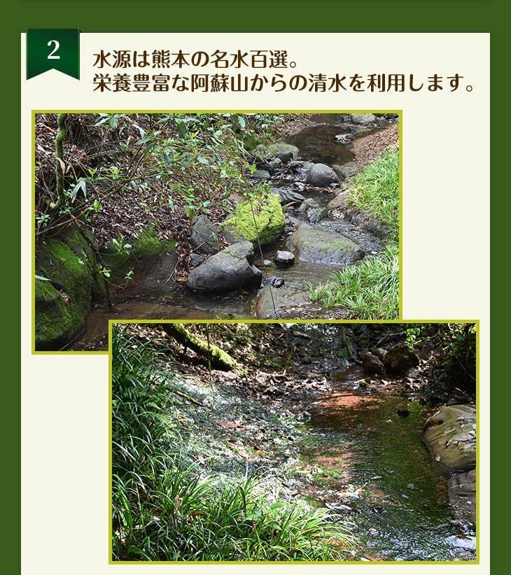 水源は熊本の名水百選