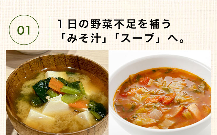 ̣������̣�������פ�