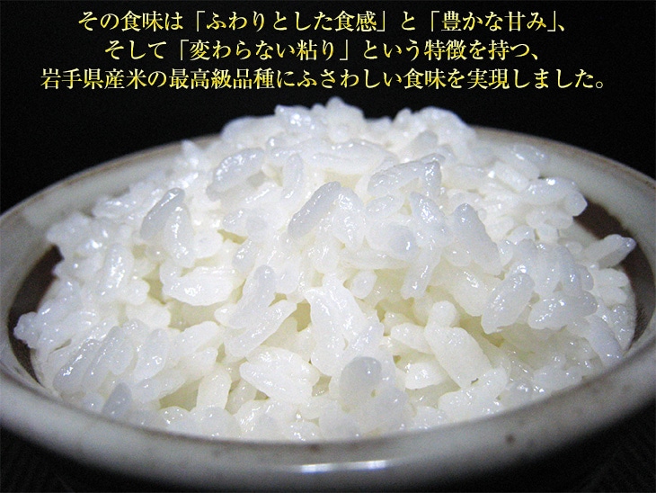 新米 令和5年(2023年)産 岩手県産 金色の風 白米〈岩手の最高級米 新