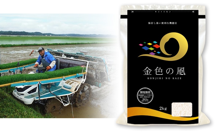 令和4年産(2022年) 岩手県産 金色の風 白米〈岩手の最高級米 新品種