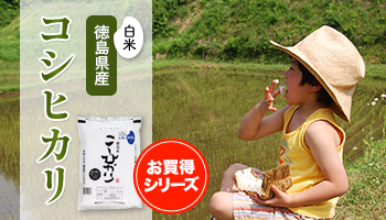 ���縩�������ҥ���