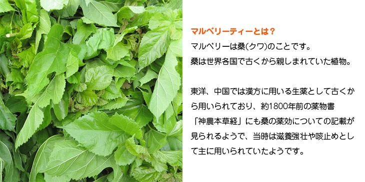マルベリーは桑のことです。東洋、中国では漢方に用いる生薬として古くから用いられております。