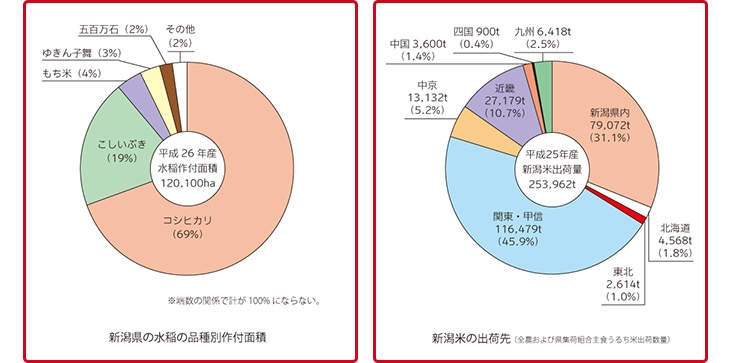 令和３年(2021年) 新潟県産 コシヒカリ 2kg (2kg×1袋)（白米）【米袋は真空包装】【即日出荷】 | お米の通販 お米のくりや