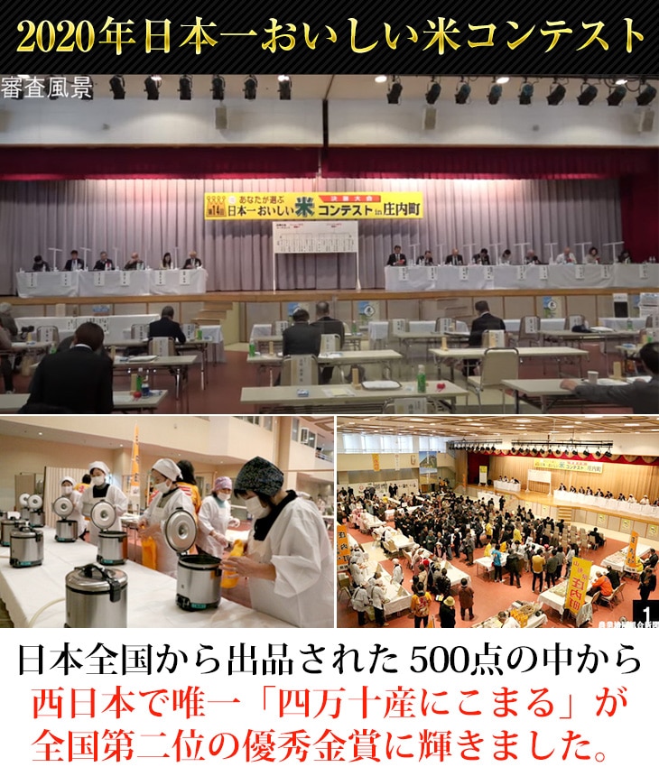 令和4年産(2022年) 高知県四万十産 にこまる〈日本一おいしい米