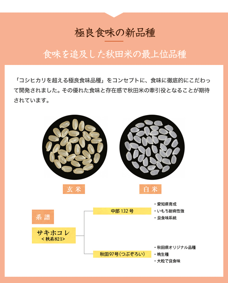 新米 令和5年(2023年)産 秋田県産 サキホコレ 白米10kg(2kg×5袋) 2年