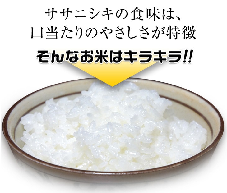令和4年産(2022年) 宮城県産 ササニシキ 2kg 白米 【米袋は窒素充填