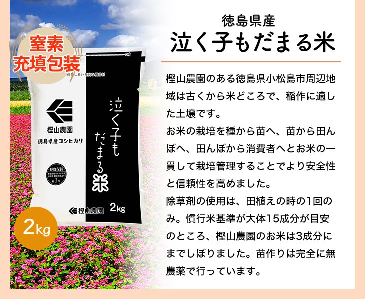 �㤯�Ҥ���ޤ���