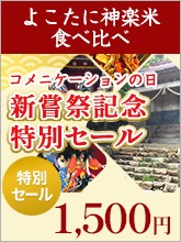 �褳���˿����� �������