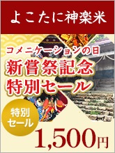 �褳���˿�����