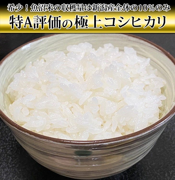 令和5年(2023年)産 新潟県魚沼産 コシヒカリ〈特A評価〉10kg(2kg×5袋 