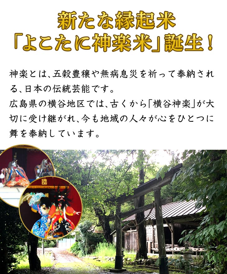 �����ʱﵯ�ơ��֤褳���˿����ơ�������