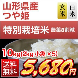 令和2年 年 山形県産 つや姫 １０年連続特a評価 10kg 2kg 5袋 白米 玄米 選択 送料無料 農薬８割減 安心の生産者指定米 米袋は真空包装 おいしいお米の通販 販売はくりやのブランド米