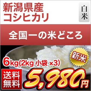 㸩 ҥ 6kg(2kg3)