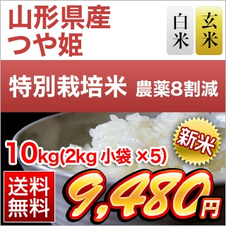 新米 山形県産 つや姫＜14年連続特Ａ評価＞ 10kg (2kg×5袋) 【白米・玄米】【送料無料】【農薬８割減】【安心の生産者指定米 】【米袋は窒素充填包装】【即日出荷は白米のみ】令和6年(2024年)産 | お米の通販 お米のくりや