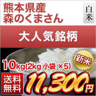 新米 熊本県産 森のくまさん 白米 10kg（2kg×5袋）【送料無料】【米袋