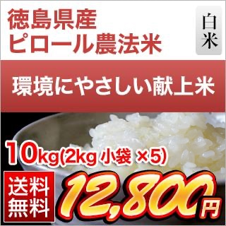 ���縩�� �ԥ�������ˡ��10kg