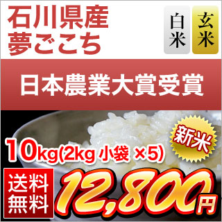 新米 石川県産 夢ごこち 白米・玄米 10kg(2kg×5袋)【送料無料