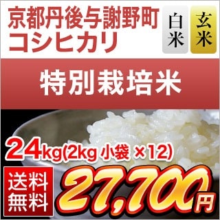 ������ð�建 �����ҥ���24kg