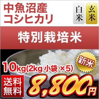 ���㸩����»� �����ҥ��� ���ơ����� 10kg