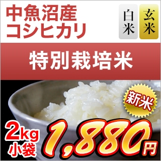 ���㸩����»� �����ҥ��� ���ơ����� 2kg