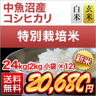 ���㸩����»� �����ҥ��� ���ơ����� 24kg