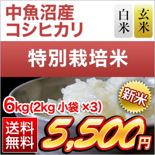 ���㸩����»� �����ҥ��� ���ơ����� 6kg