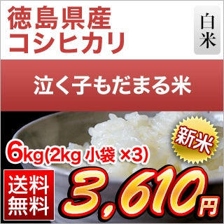 ���縩�� �㤯�Ҥ���ޤ��� ���� 6kg