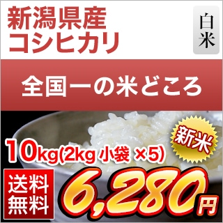 ���㸩�� �����ҥ��� ���� 10kg