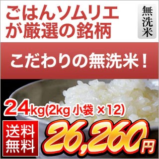 ���Ϥ󥽥�ꥨ������̵����24kg