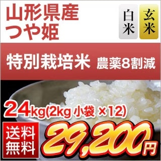 �������� �Ĥ�ɱ 24kg