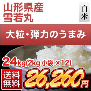 �������� ����24kg