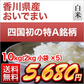 Ǥޤ10kg