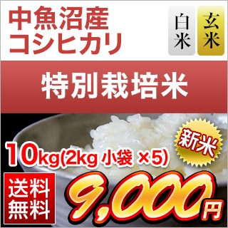新潟県中魚沼産 コシヒカリ 10kg