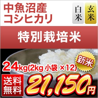 新潟県中魚沼産 コシヒカリ 24kg