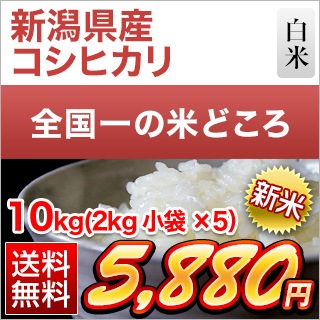 新潟県産 コシヒカリ 10kg(2kg×5袋)