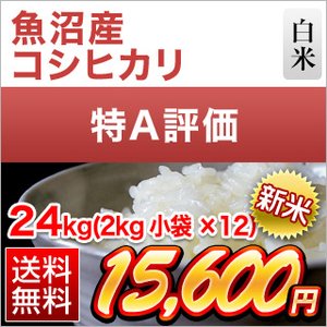 新潟県魚沼産 コシヒカリ 24kg