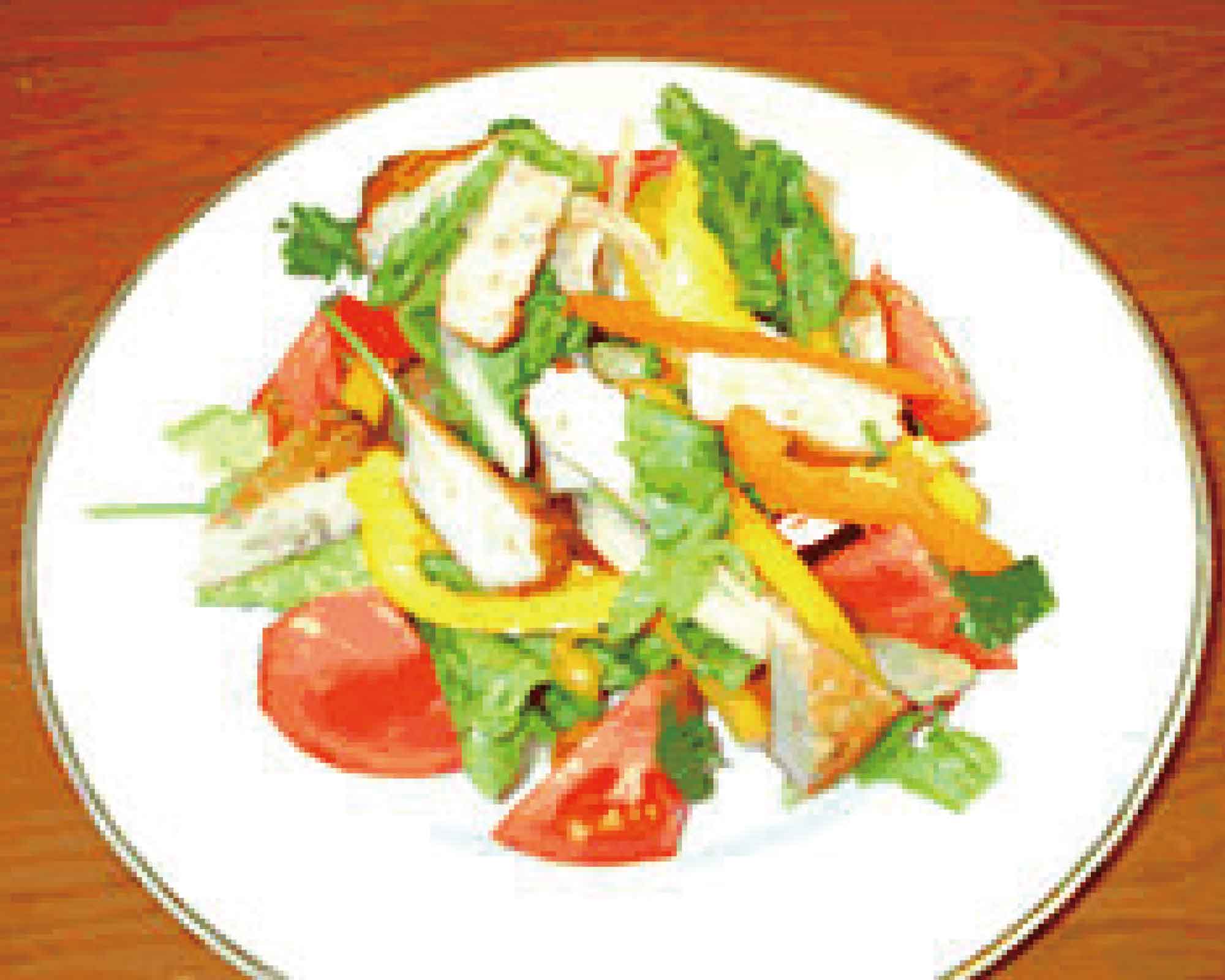 イタリア風野菜とごぼう天のInsalata