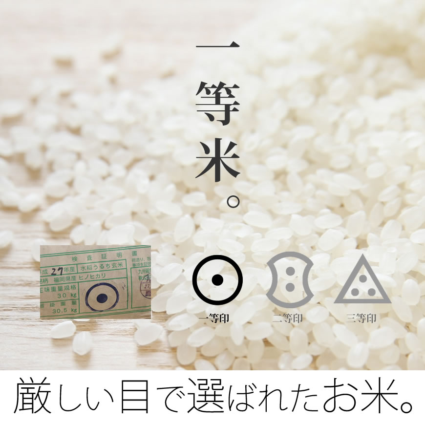 福岡県産　ひのひかり20kg 米　白米　最安値　お米　ブランド米