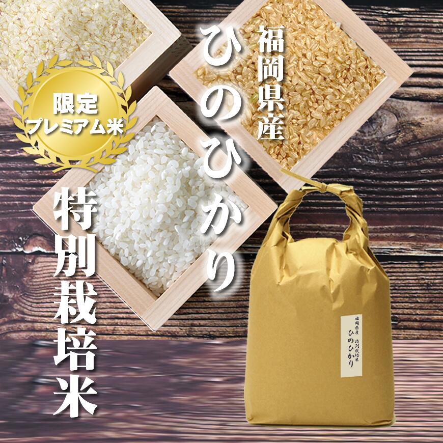 特別栽培米　福岡県産米『夢つくし』　10kg 【玄米専用】令和3年産　新米
