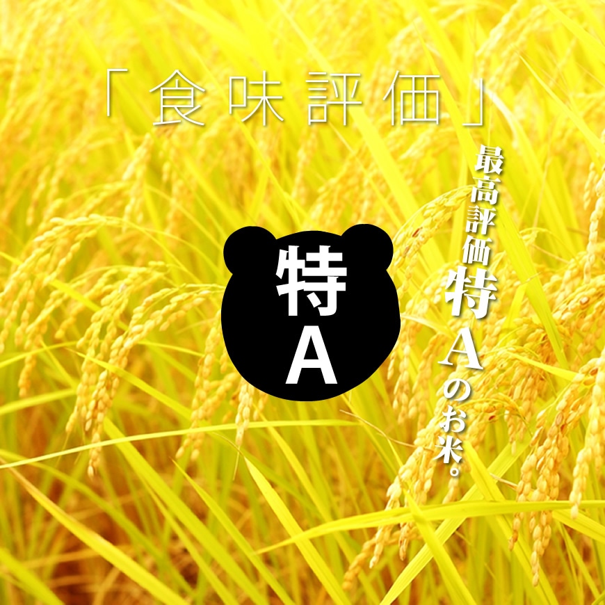 令和4年産 熊本県産森のくまさん 九州の美味しいお米 のお取り寄せ・通販 お米・牛タン・もつ鍋の通販 おどろきっちん 【本店】
