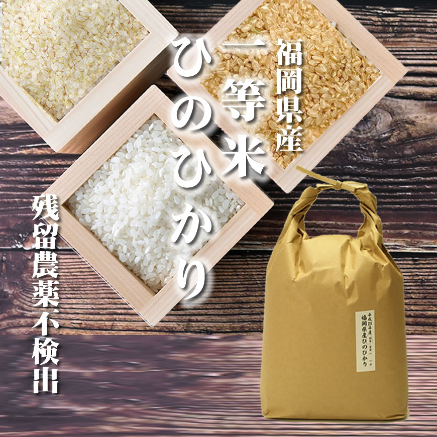 玄米 ひのひかり25kg 1等米 厳選米 令和4年 福岡県産 お米 安い 新米美味しいお米