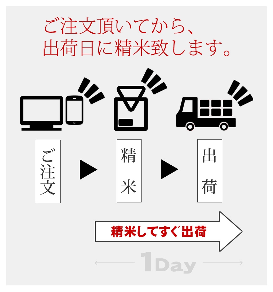 令和3年産 佐賀県産棚田米さがびより | 九州の美味しいお米 のお取り寄せ・通販 | お米・牛タン・もつ鍋の通販 おどろきっちん 【本店】