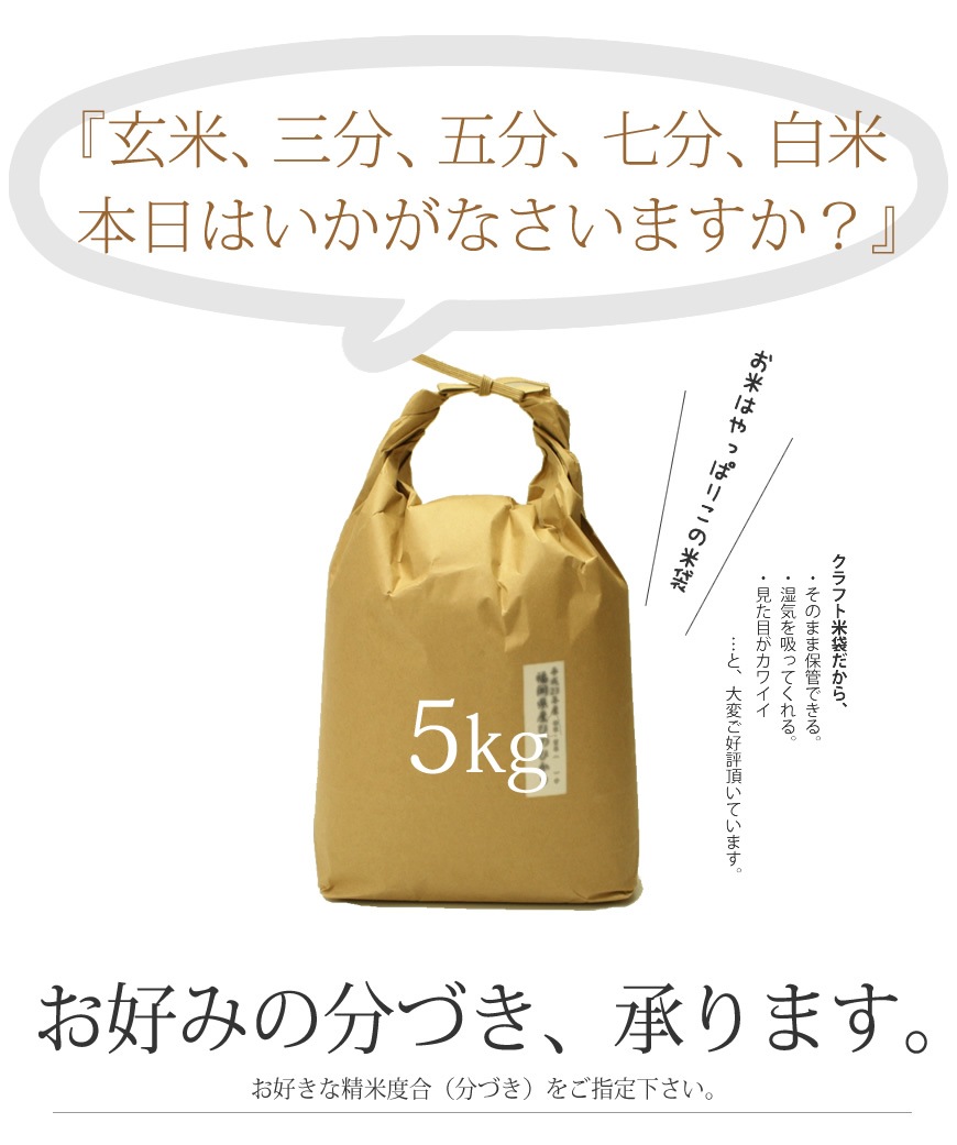 令和3年産 佐賀県産棚田米さがびより | 九州の美味しいお米 のお取り寄せ・通販 | お米・牛タン・もつ鍋の通販 おどろきっちん 【本店】