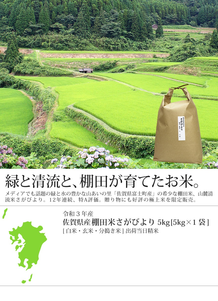 令和3年産 佐賀県産棚田米さがびより | 九州の美味しいお米 のお取り寄せ・通販 | お米・牛タン・もつ鍋の通販 おどろきっちん 【本店】