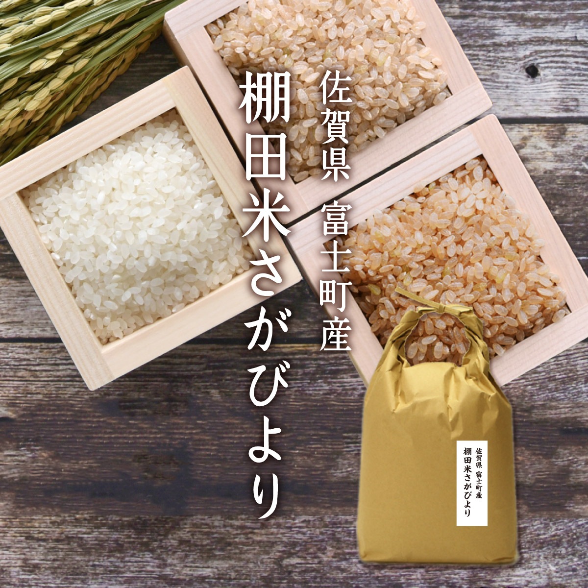 京都府産　新米　棚田百選米　精米 京都府産 玄米、5年度産古米 棚田百選米