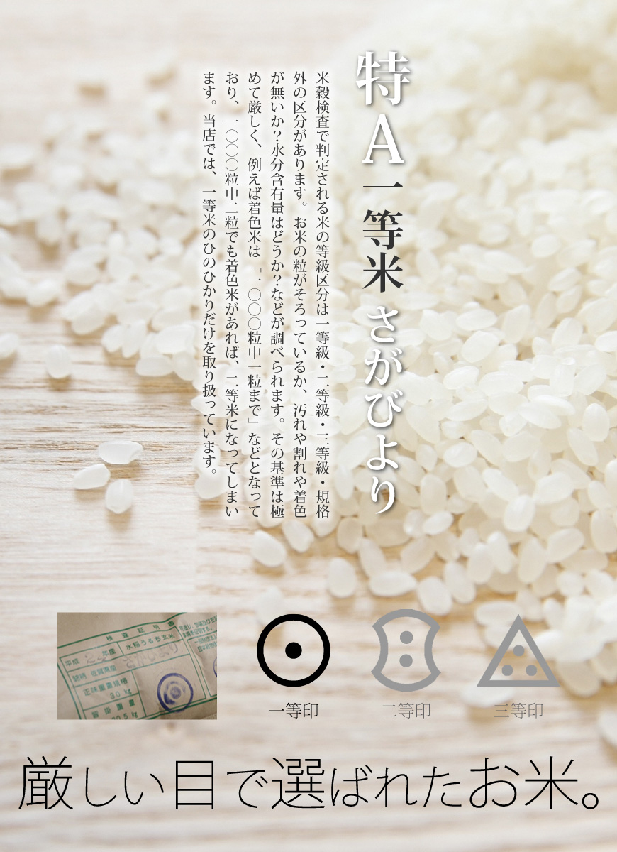 令和3年産 佐賀県産棚田米さがびより | 九州の美味しいお米 のお取り寄せ・通販 | お米・牛タン・もつ鍋の通販 おどろきっちん 【本店】