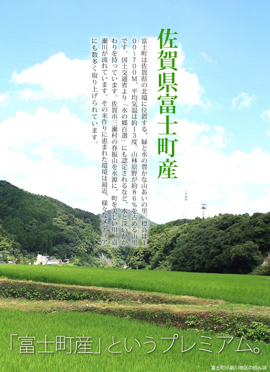 令和3年産 佐賀県産棚田米さがびより | 九州の美味しいお米 のお取り寄せ・通販 | お米・牛タン・もつ鍋の通販 おどろきっちん 【本店】